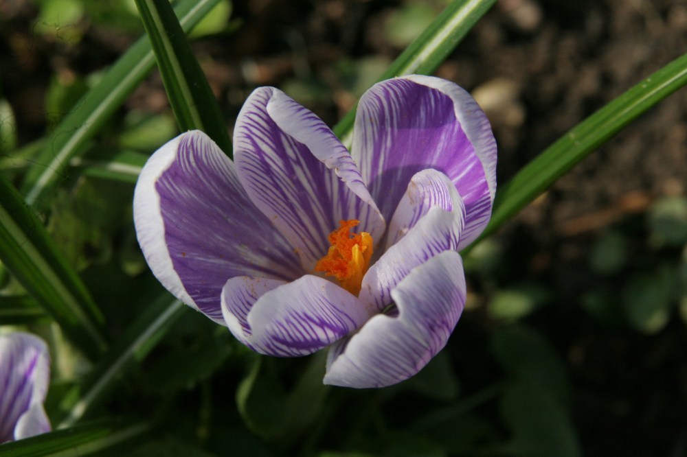 029