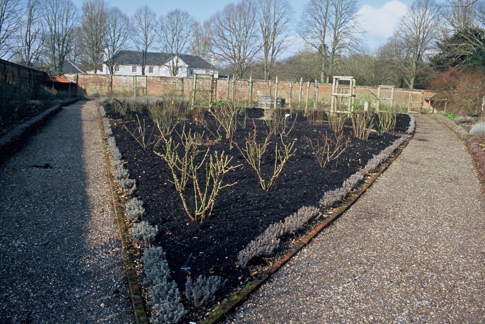 2006b
