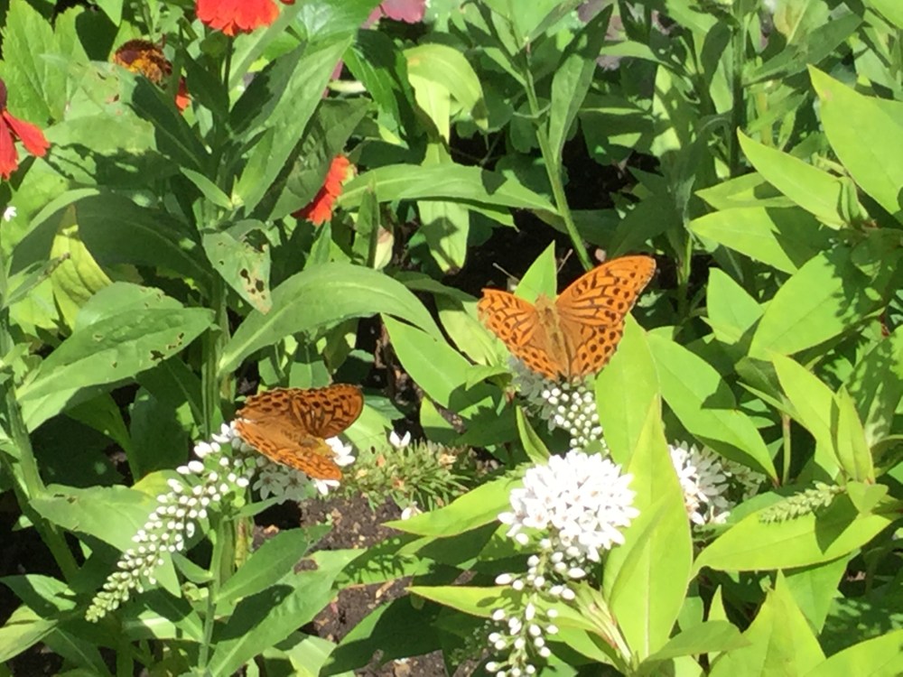 20150727_104604210_iOS.jpg