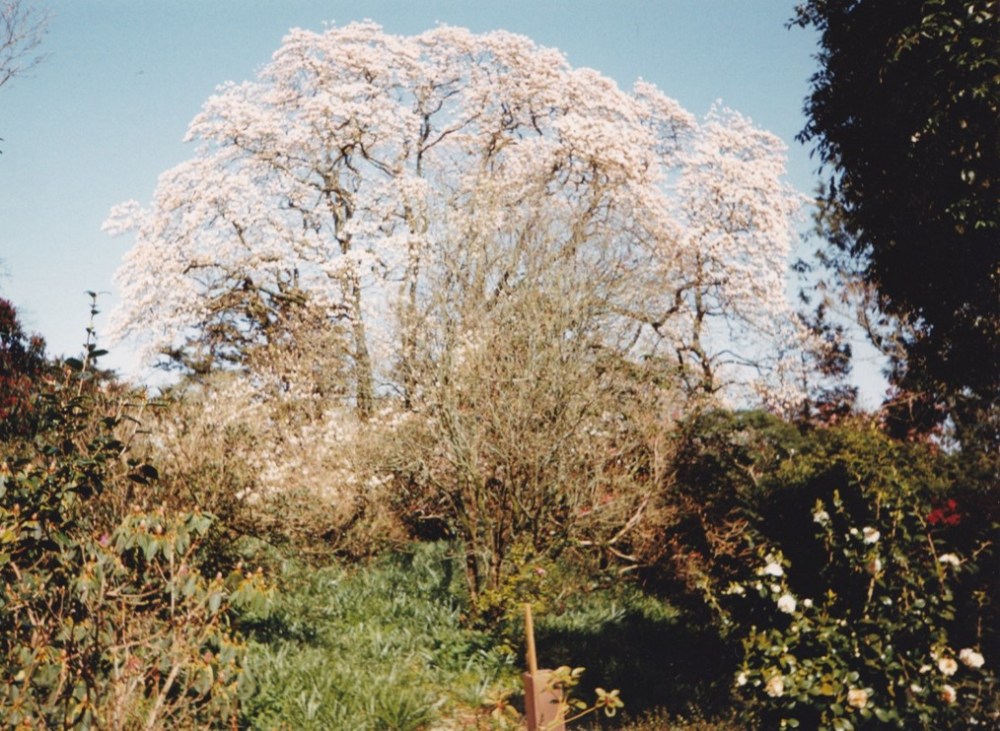 Picture1
